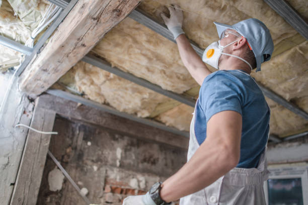 Best Spray Foam Insulation in Texas City, TX