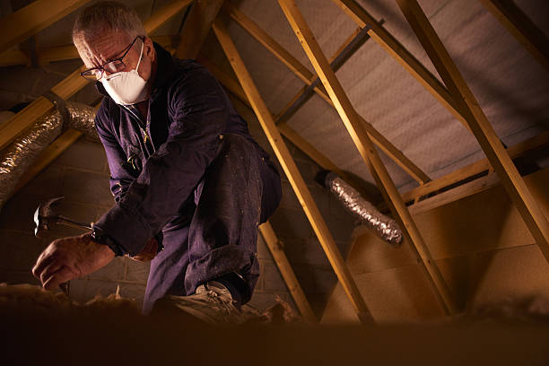 Best Fiberglass Insulation in Texas City, TX